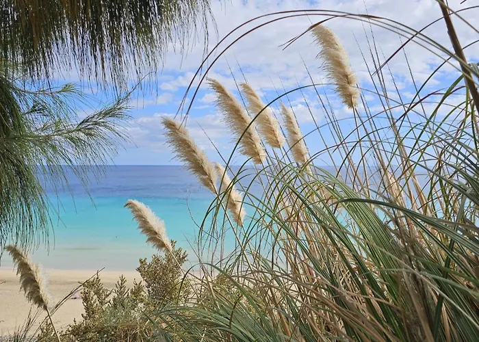 Casa Yvonne アパート コスタ・カルマ