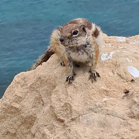 Casa Yvonne Apartmán Costa Calma