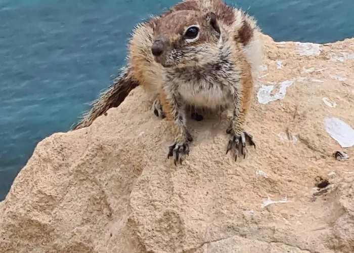 Casa Yvonne Daire Costa Calma